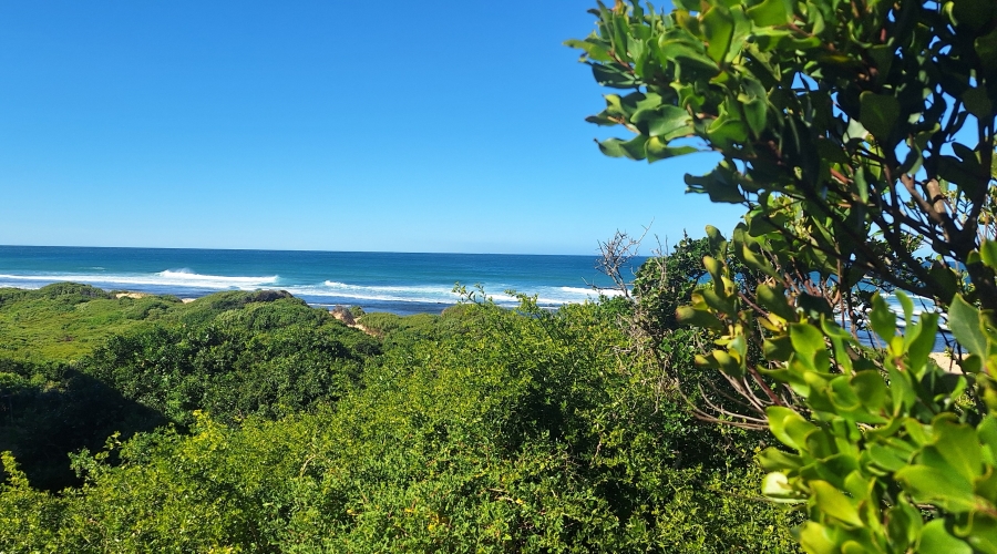 0 Bedroom Property for Sale in Boknesstrand Eastern Cape